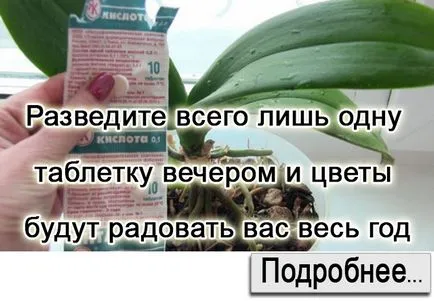 Конвенционалните фармацевтични флакони за фъстъци спряха силен косопад! През месец 5 см! полезен