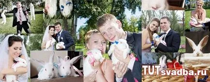 Iepuri pentru fotografie de nunta fotografii trage - un portal de nunta aici nunta