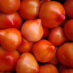 Пръскането доматени яйчниците борна киселина да се използват методи