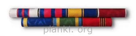 Service Ribbon