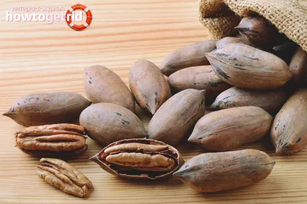 Pecan - beneficii și efecte nocive asupra organismului