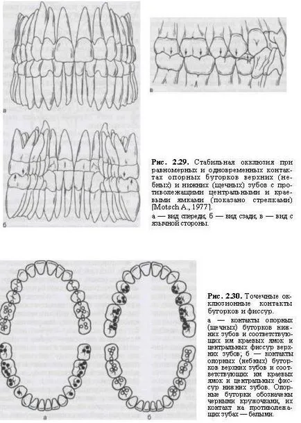 Bazele de diagnostic ocluzale