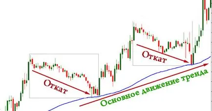 Rollback sau zgomot în Forex