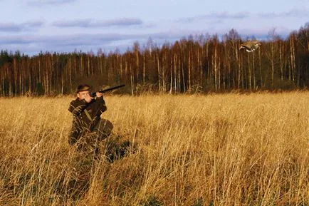 На лов за яребица пушка и боеприпаси за лов яребица