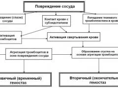 Primer hemosztázisban, a szakaszában a vaszkuláris-vérlemezke hemosztázis