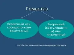 Primer hemosztázisban, a szakaszában a vaszkuláris-vérlemezke hemosztázis