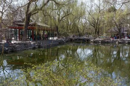 Beijing Zoo - Gradina de zece mii de animale