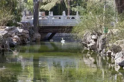 Beijing Zoo - Gradina de zece mii de animale