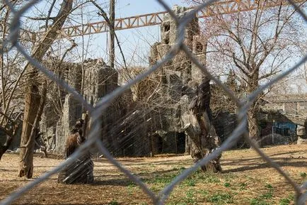 Beijing Zoo - Gradina de zece mii de animale