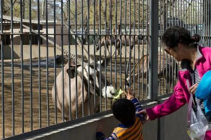 Beijing Zoo - Gradina de zece mii de animale