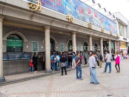 Beijing Zoo (pekingi állatkert) benyomások, hasznos információkat