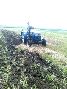 Plough Prezentare generală a microtractor de curent, disc și rotor - reglementarea și prețurile