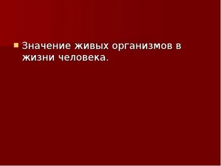 Представяне на доклад по темата, която изучава биологията