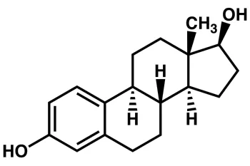 Motivele care pot fi crescute de estradiol la femei și bărbați