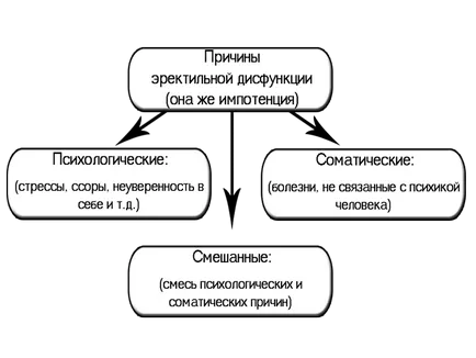 Предотвратяване на импотентност как да сила на мъжа до дълбока старост, основните препоръки