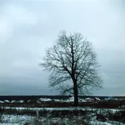 Fejlődő A dia az otthoni elektromos blognot