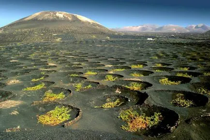 Lanzarote cum să obțineți