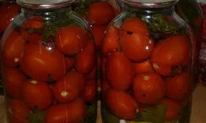 Diverse rețete de tomate pentru a fi utilizate pentru executarea cusăturii în timpul săptămânii și masă festivă în timpul iernii