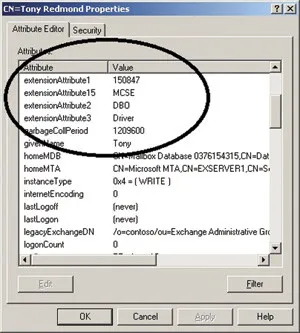 Cinci atribute personalizate server Exchange 2010 SP2, Windows IT Pro