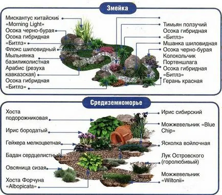 Инсталации за сухо рекичка снимка с имена и красива схема на засаждане