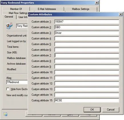 Cinci atribute personalizate server Exchange 2010 SP2, Windows IT Pro