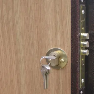 Сложи брави за метални врати - как да изберете от всички видове