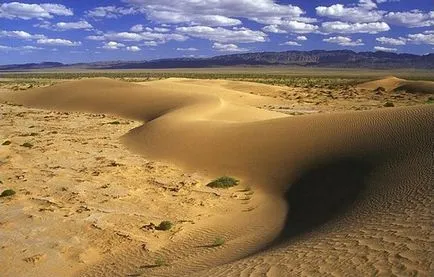 Най-голямата пустиня в света, на земята