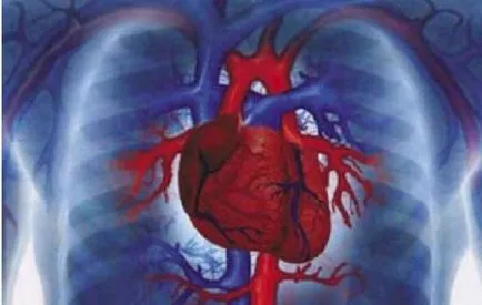 inima coronariană virtuală (centuriae)