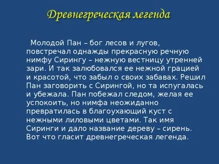 Есе - описание на картина сюрективен люляк в кошницата