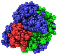 Pancreatita de tratament remedii populare cele mai eficiente