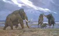 mamuții epoca Ice Age