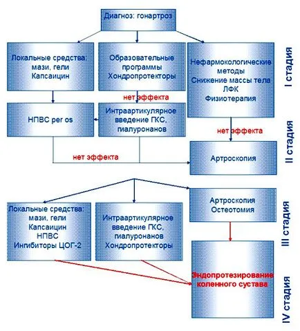 gonarthrosis kezelés korszerű elvek és megközelítések - orvosi gyakorlatban - az orvosi gyakorlat