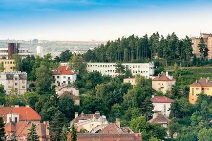 Nuntă în castelul Libensky, fotograf în praga