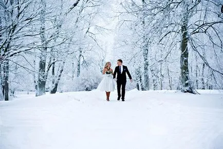 Stilul de nunta de iarnă, idei, fotografii