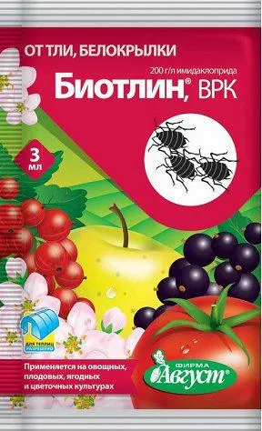 Листни въшки за това как да се отървете копър, народни средства