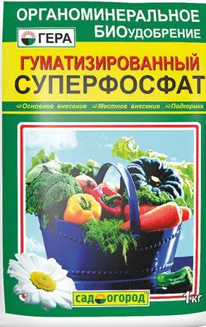 Листни въшки за това как да се отървете копър, народни средства