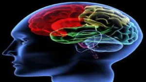Mérgező encephalopathia súlyos agysérülés agyi erek