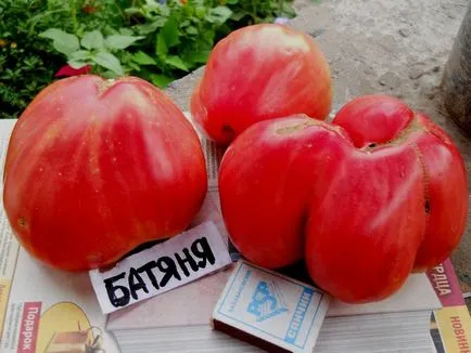 Tomate „Pops“ Caracterizarea și descrierea soiului