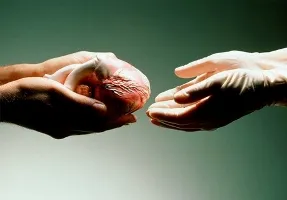 Transzplantáció - szervátültetés Törökországban
