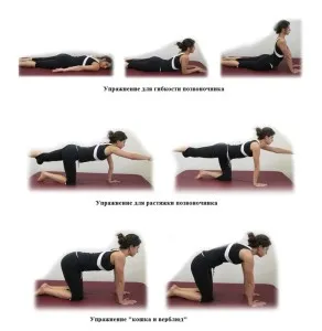 Exerciții pentru a vă relaxa mușchii spatelui și a gâtului în mediul video de interior