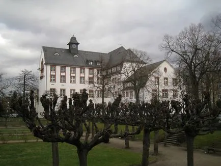 Spitalul Universitar din Frankfurt