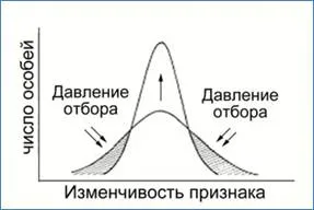 Видове естествен подбор