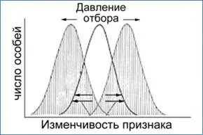 Видове естествен подбор