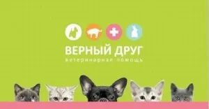 Vetklinike верен приятел на улицата на Нижни Новгород - обадете се на ветеринар у дома, всичко ветеринарната клиника в Москва