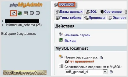 Administrarea bazei de date localhost phpMyAdmin, dezvoltarea site-ului și a câștigurilor