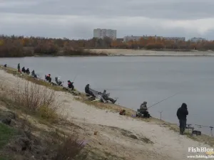 силиций съхранение примамва американски подход - онлайн вестник за риболов