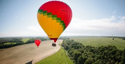 A híres macska nevű Venus kiméra (18 fotók, videók) - nyomja meg a ventilátor - érdekes és izgalmas