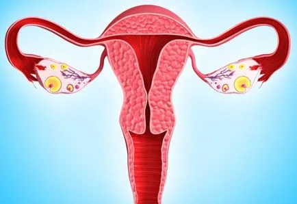 Femeia ar putea ramane insarcinata prima dată după îndepărtarea ovarelor