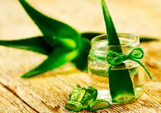 Aloe köhögés receptek, gyógyító tulajdonságokkal