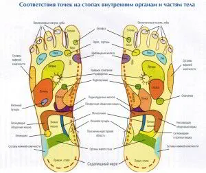 Akupunktúrás pontok az egyedüli felelős szervek